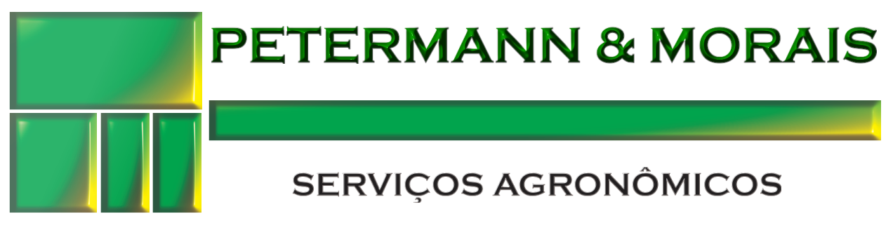 Petermann & Morais.png