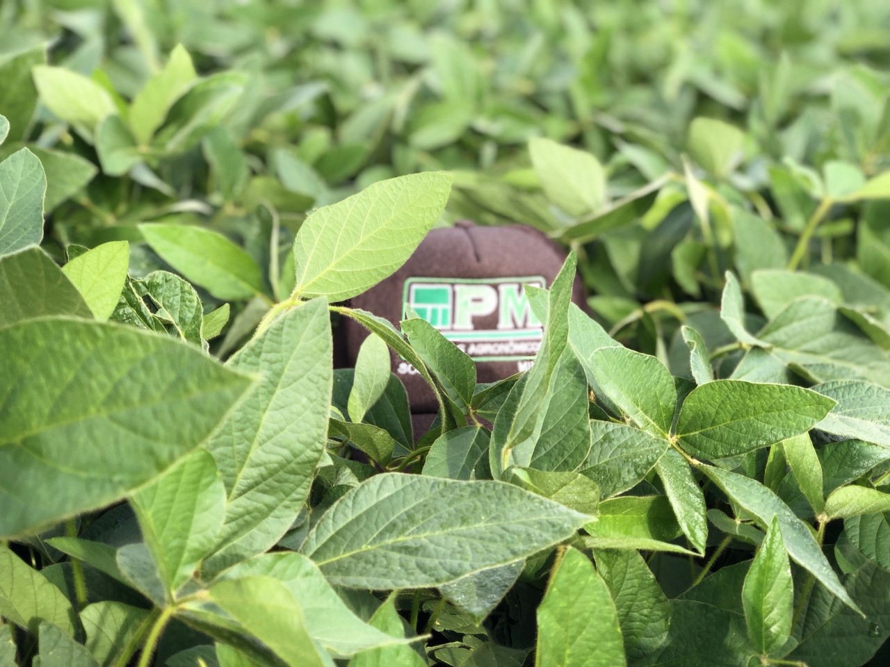 thumbnail_image1 (1).jpg